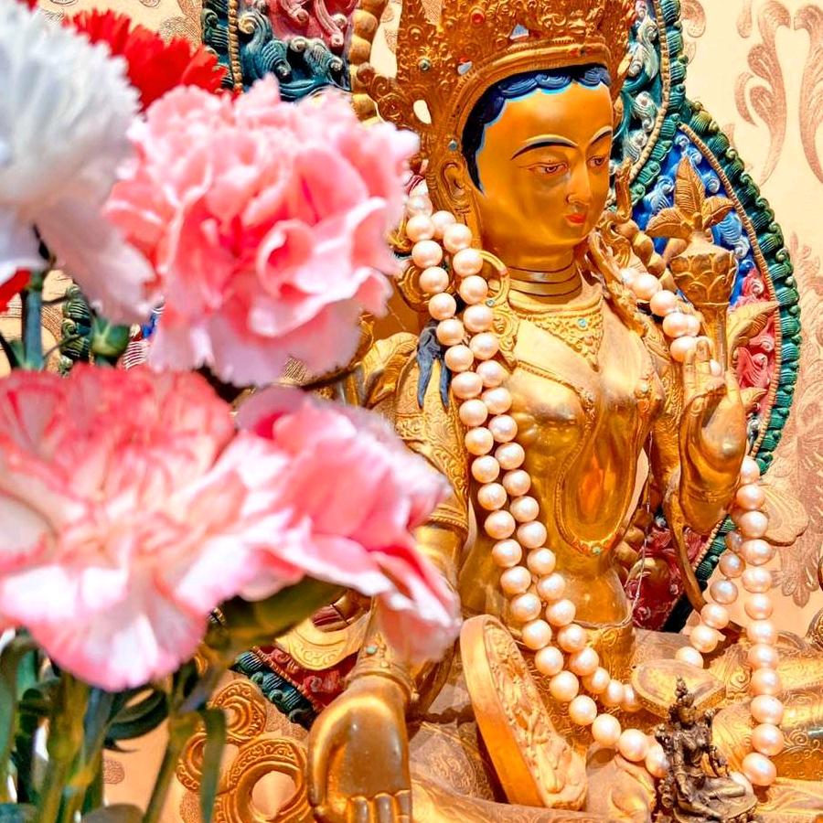 少说话，多念经