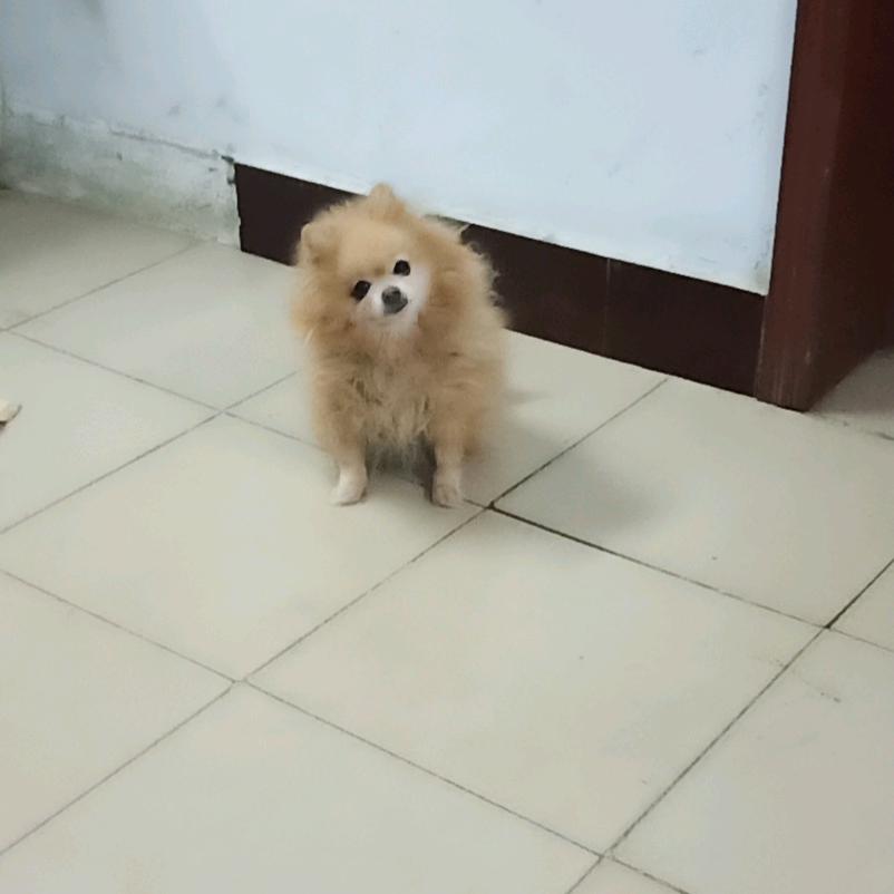 弯弯的睫毛