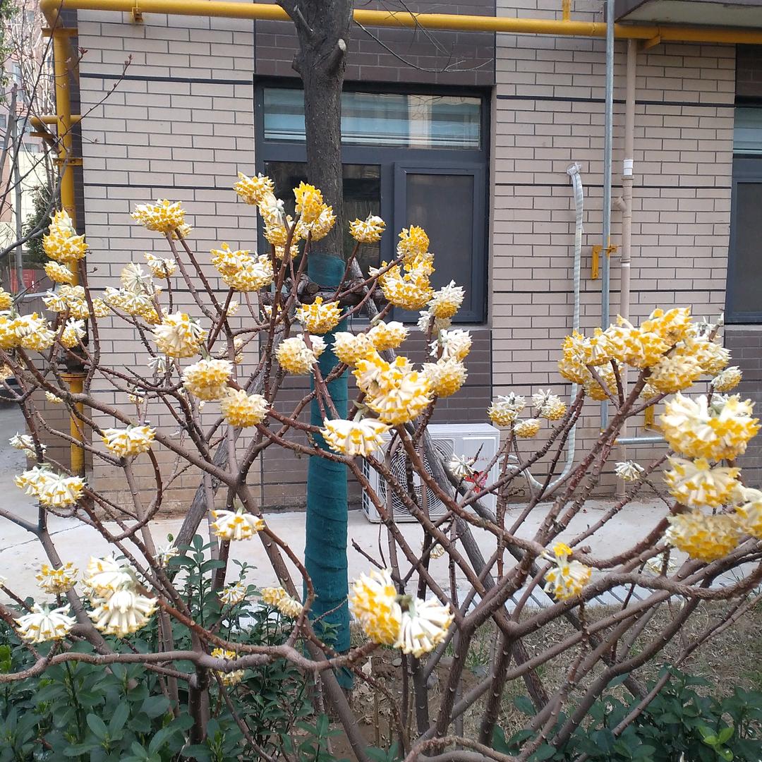 孔建都