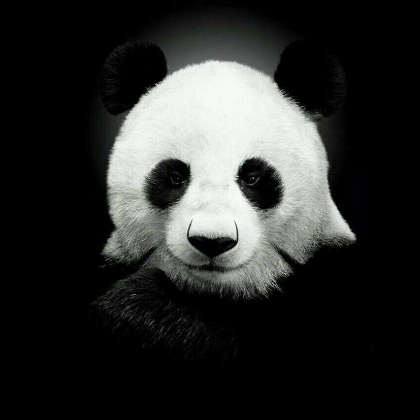 丶旧梦失词
