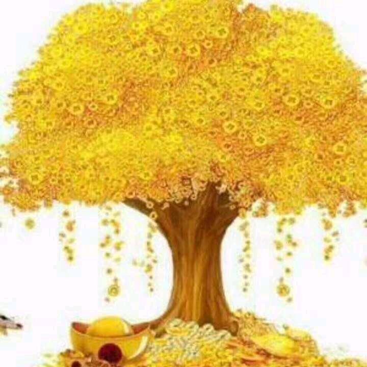 美美