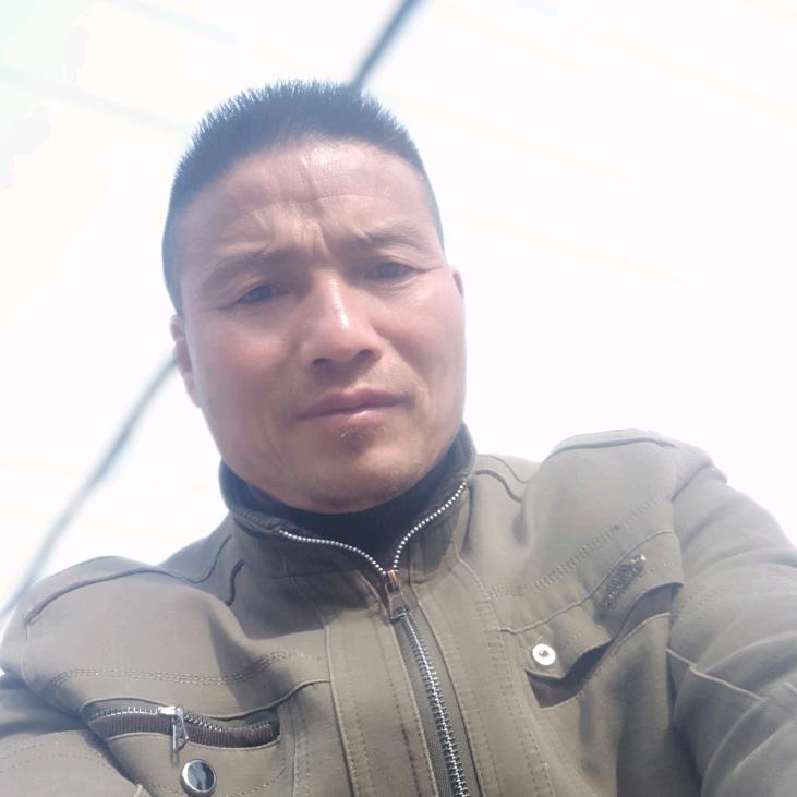 杨龙林