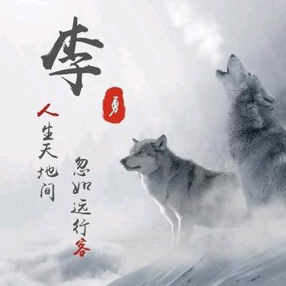李大头
