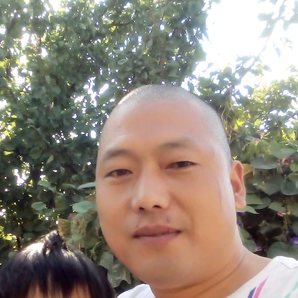 光头强