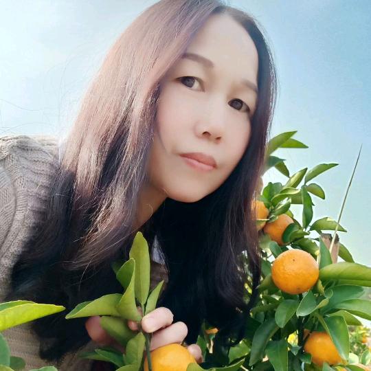 一笑倾城🌹🌹🌹🌹🌹🌹