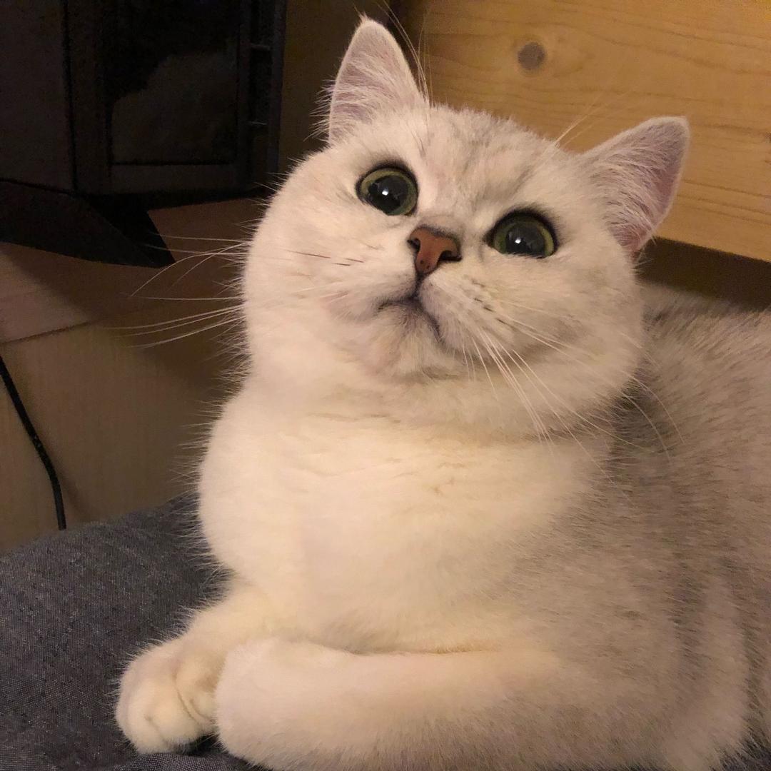 丢了个丢