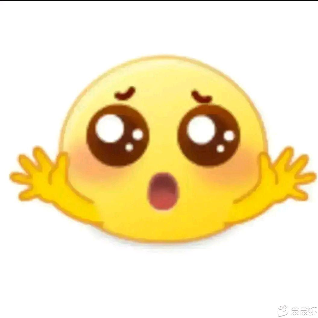 不生孩子不交社保