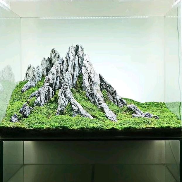 装修大管家
