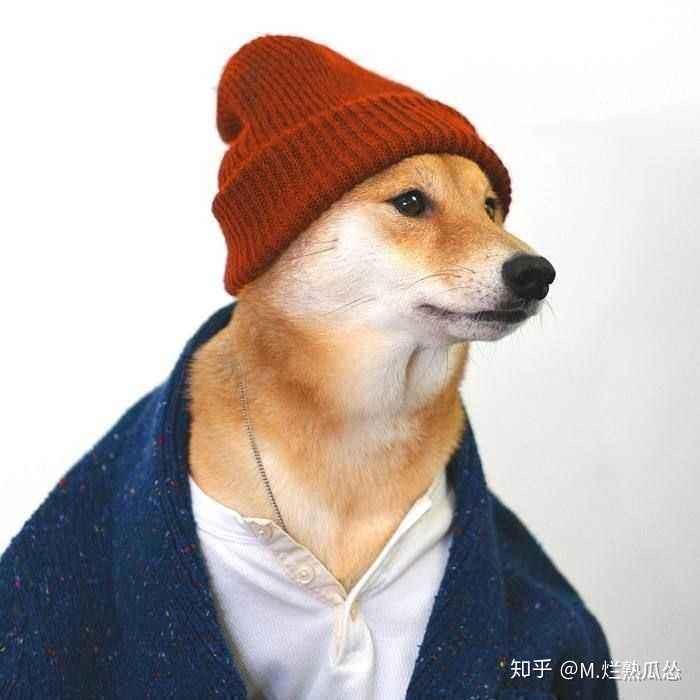 坏坏先生