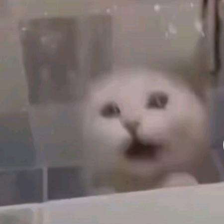 一初若饴