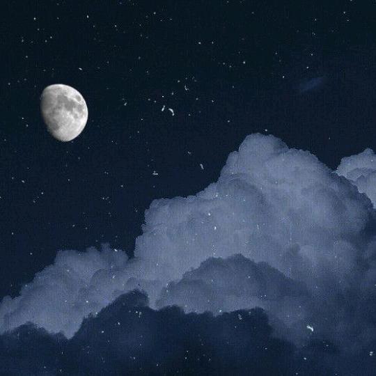 elf橙十二