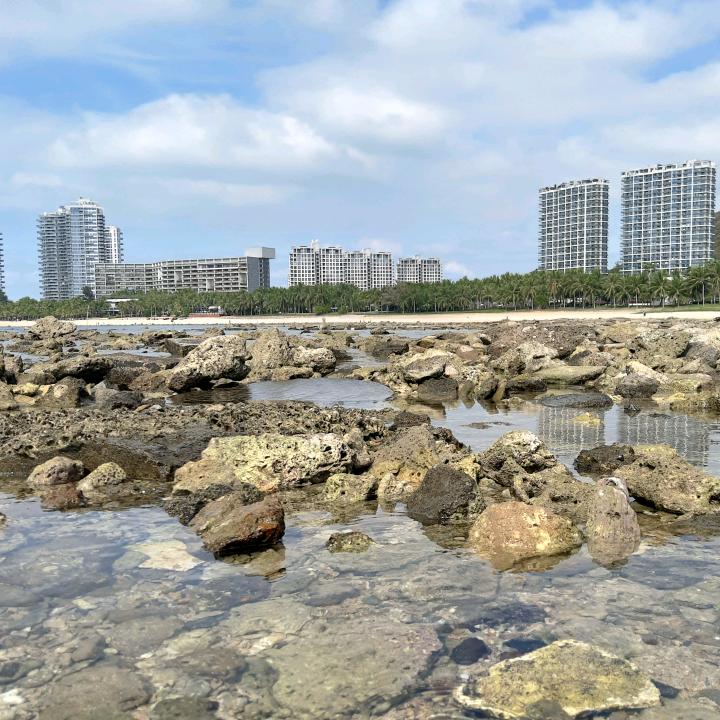清新