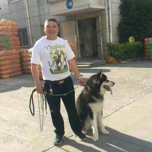 林中之王🐯