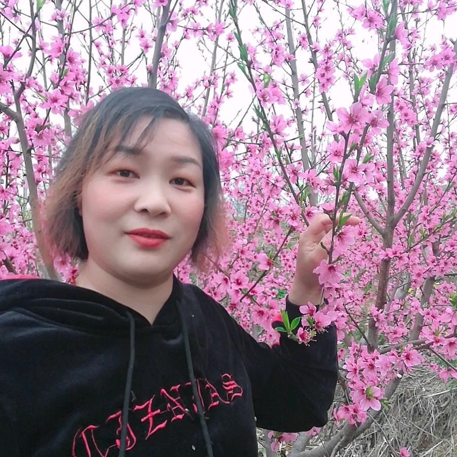 李芋莹