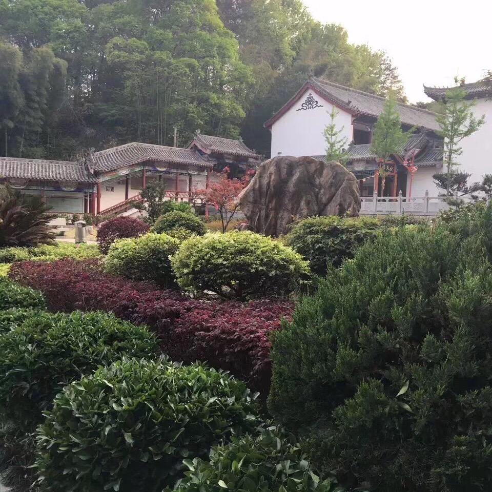 胡先生。