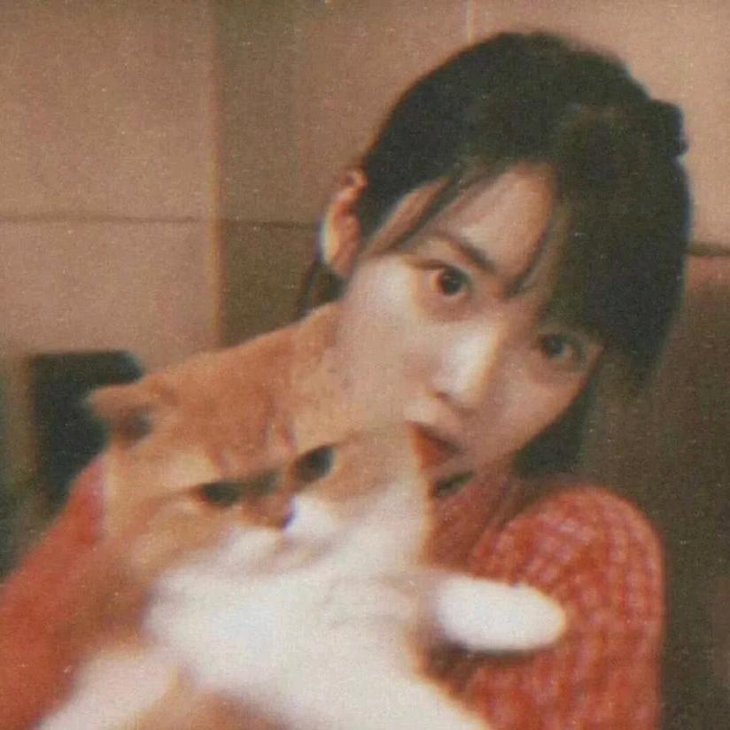 仓鼠鼠鼠鼠鼠鼠莫得獠牙.