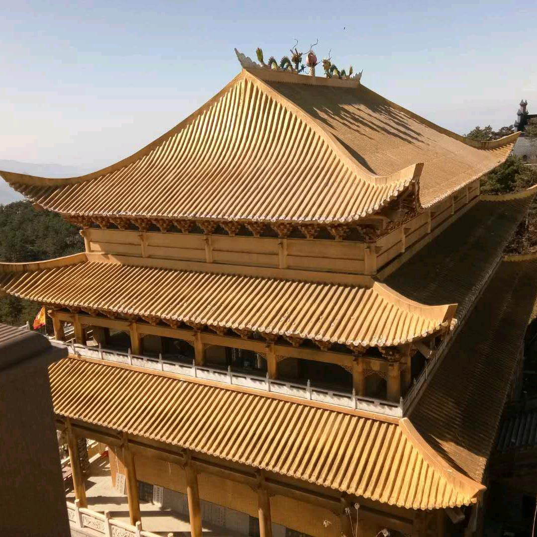 记忆哥