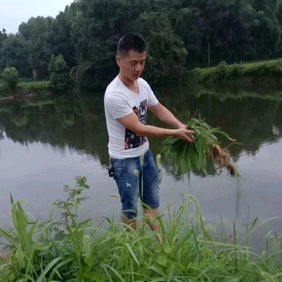 明天会更强