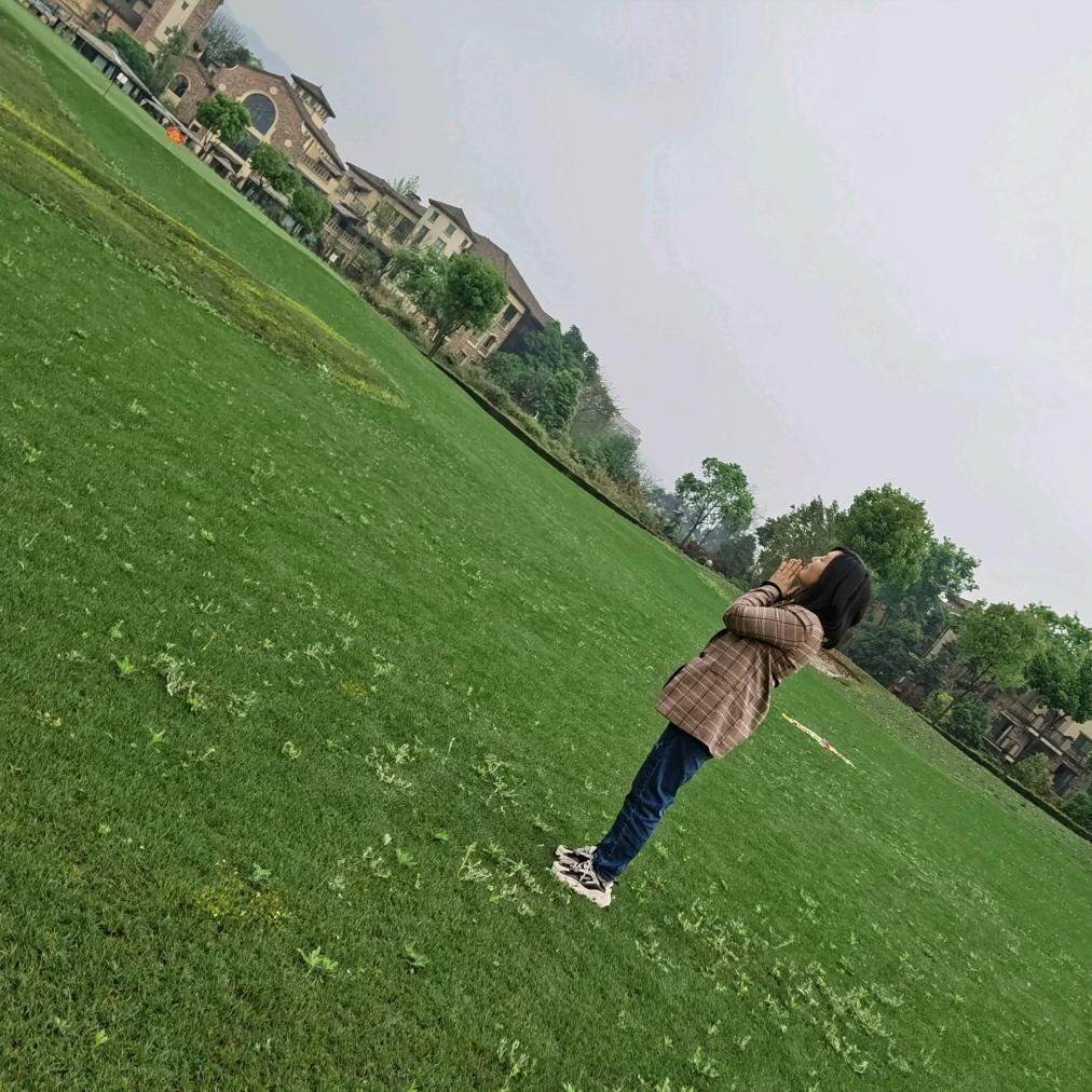 高新区书畅紫荆琴行