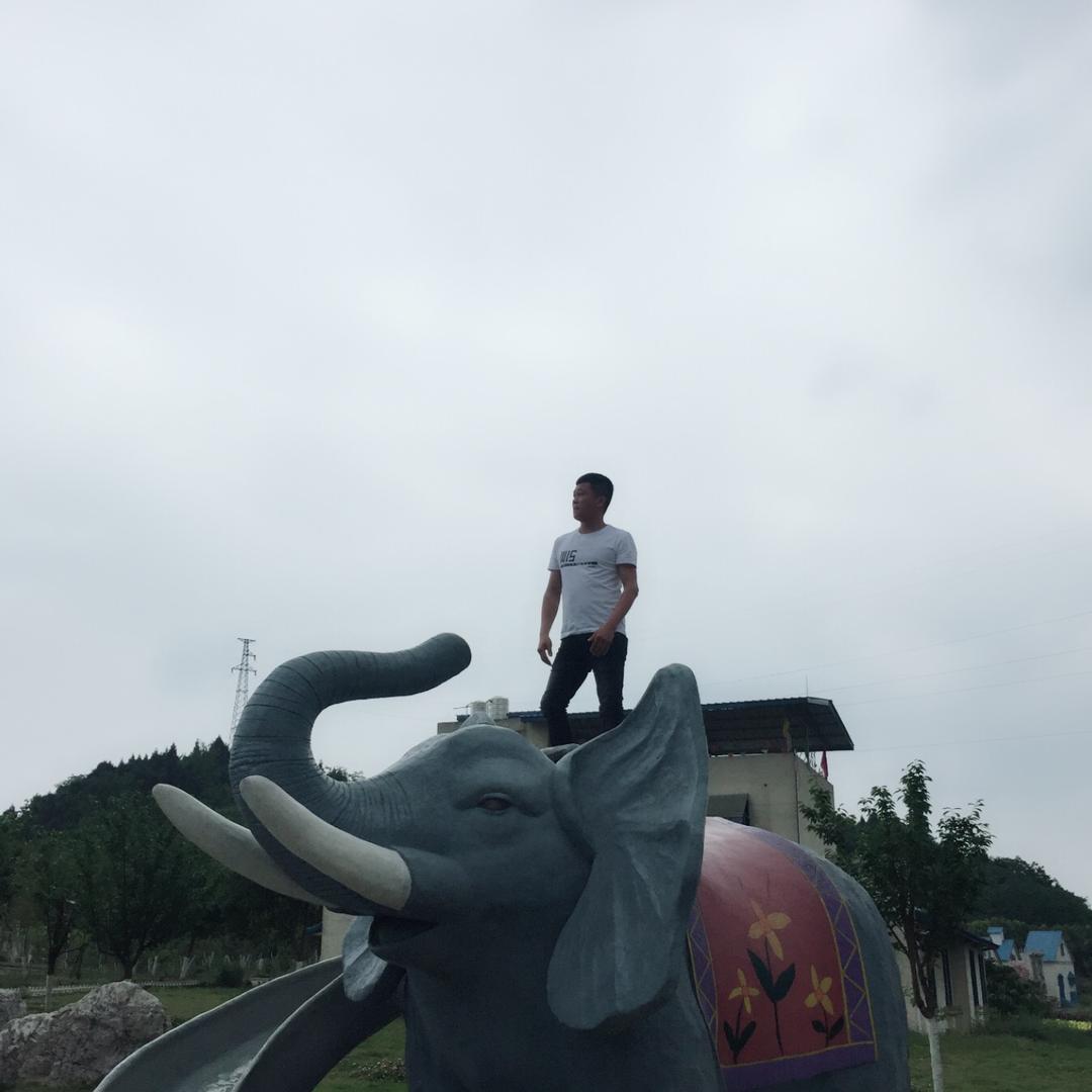 不一样的人生