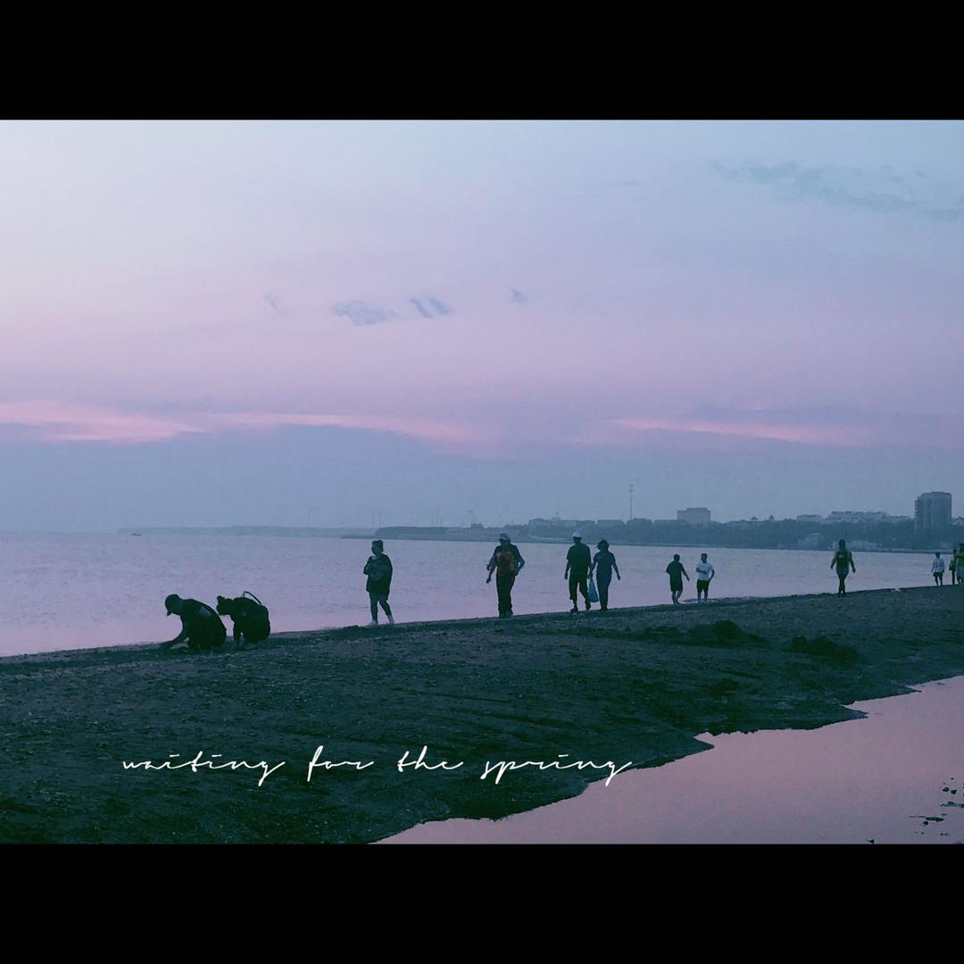 🍓茉🌸等花开🍓