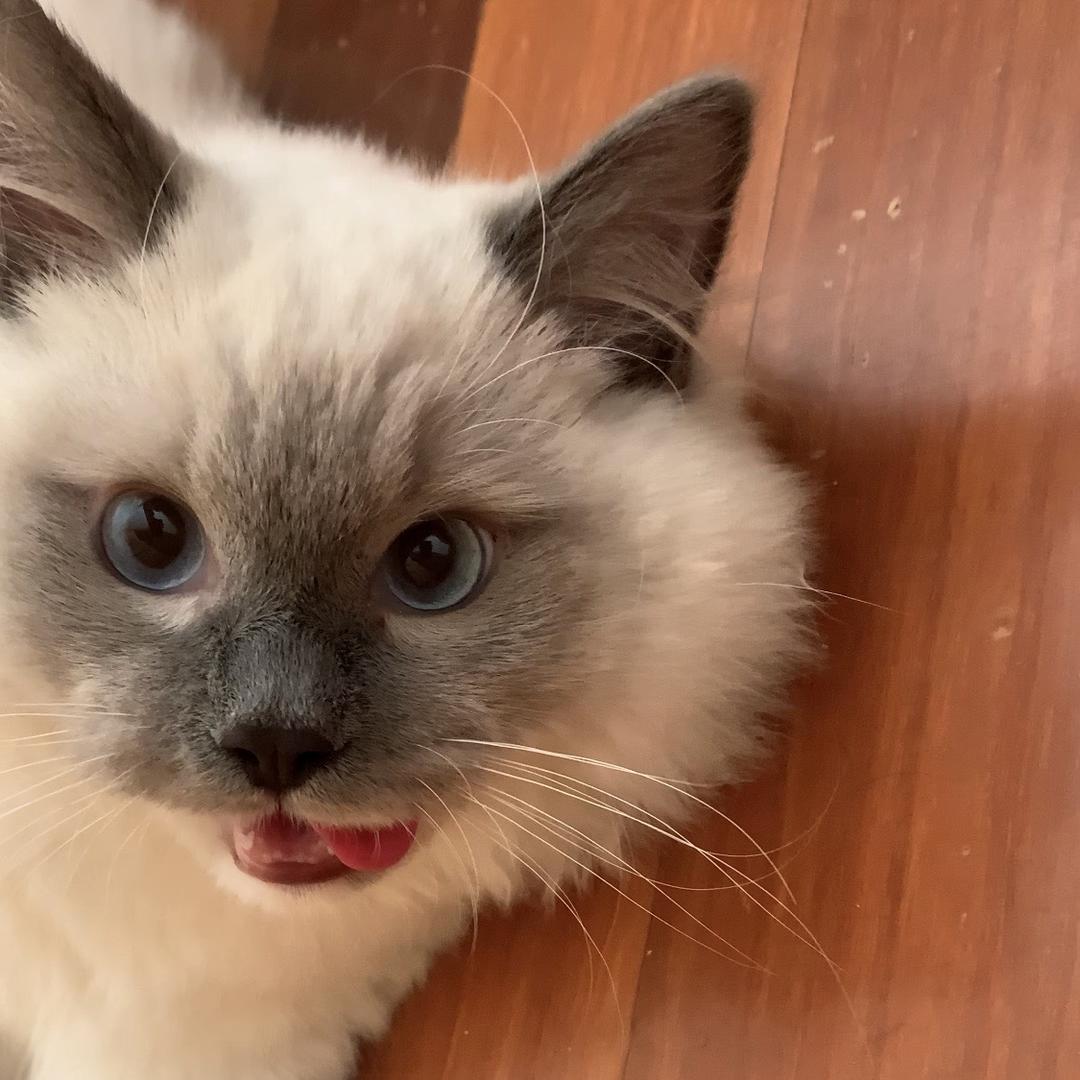 吃不吃水饺?