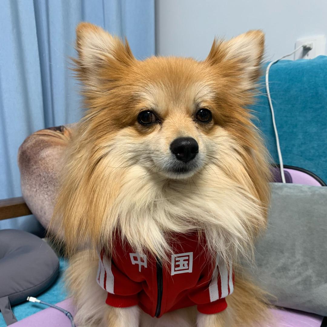 🐾丘撒粉儿🐾