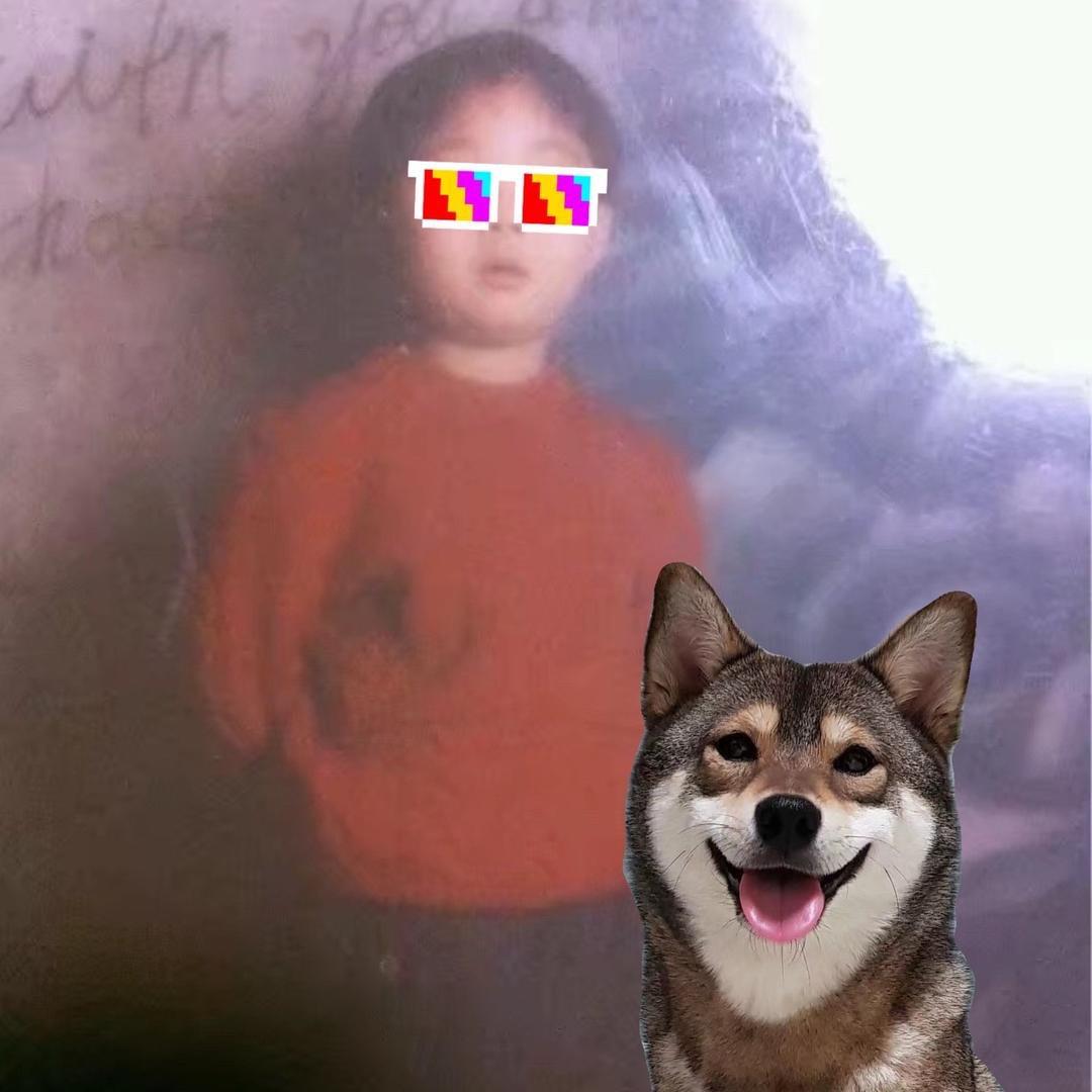 森森的日常@抖音