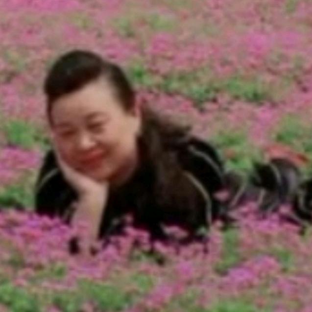 燕儿飞飞