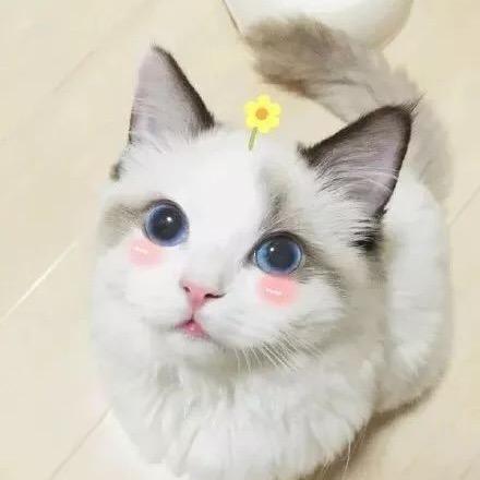 未雅部落