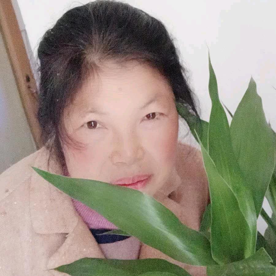 兰花