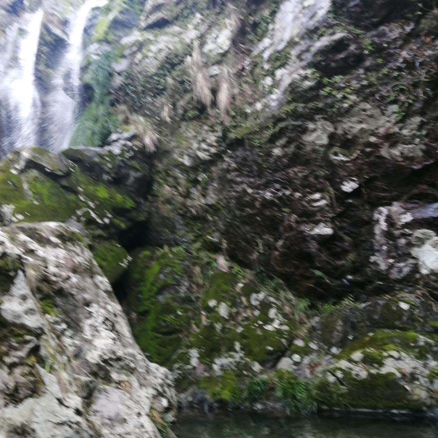 小梅子