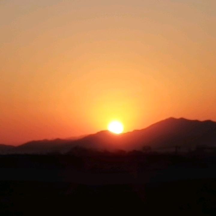 琴声何来