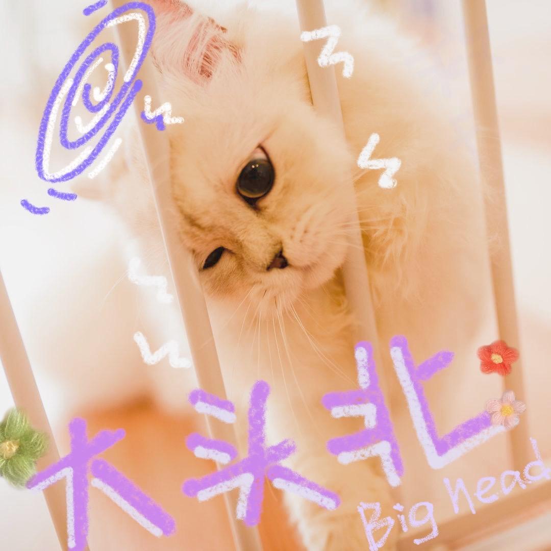 东北老弟