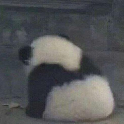 没头脑和不高兴