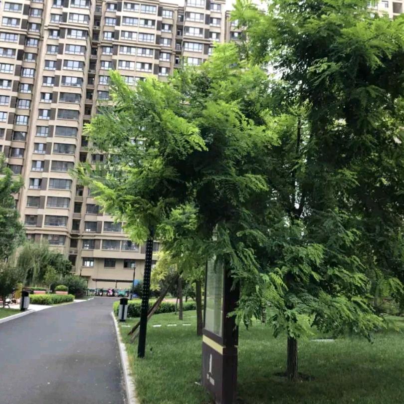 &…小铁哥🌺