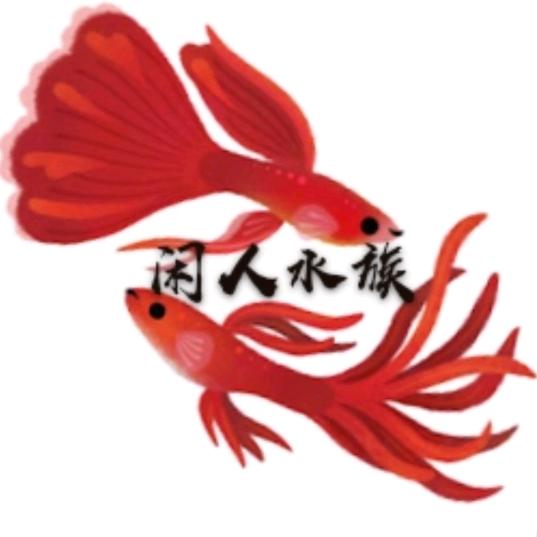 闲人说鱼🐟