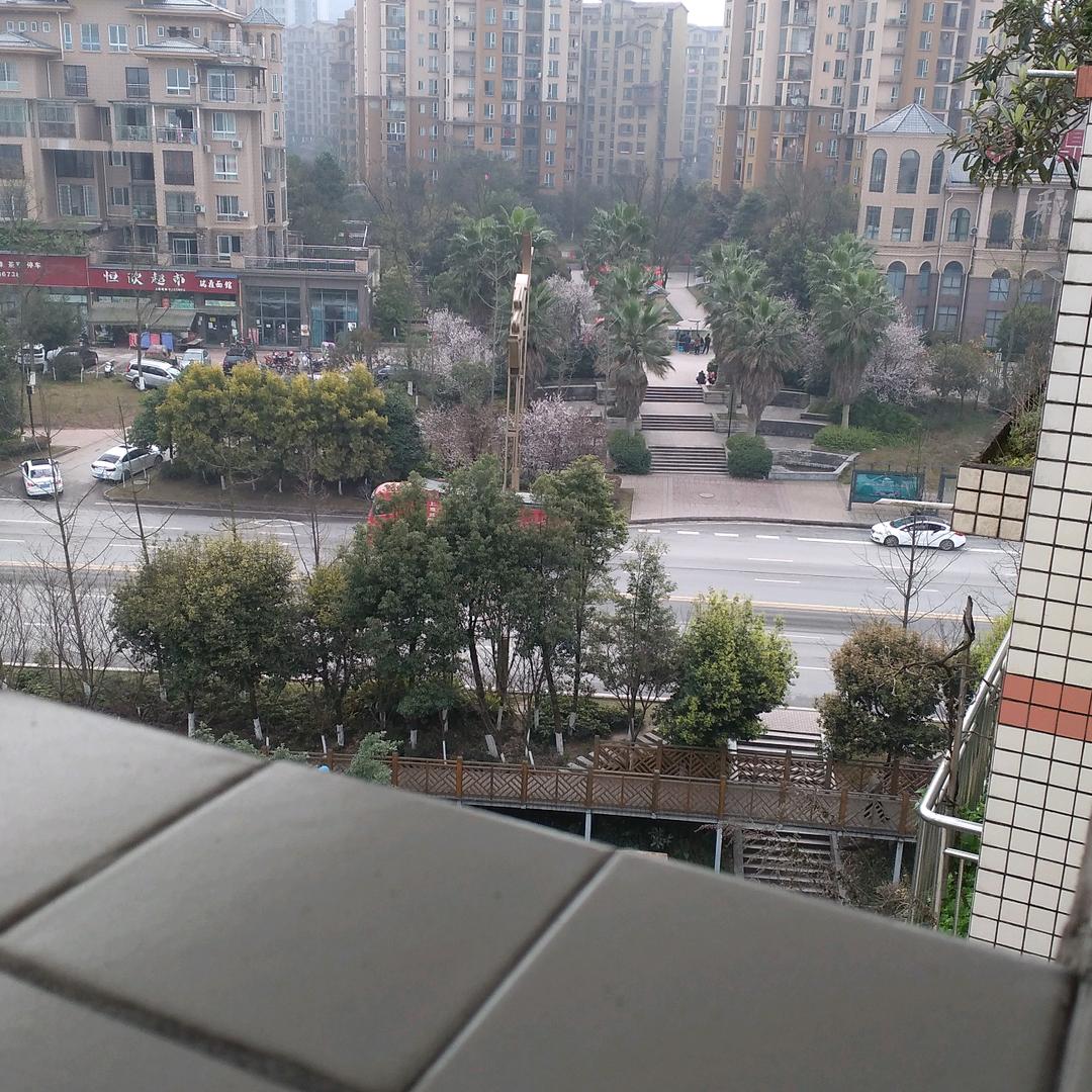 梁梁