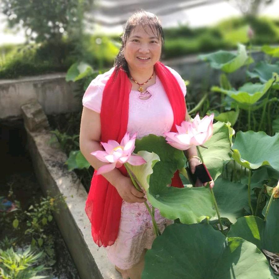 赵菊香