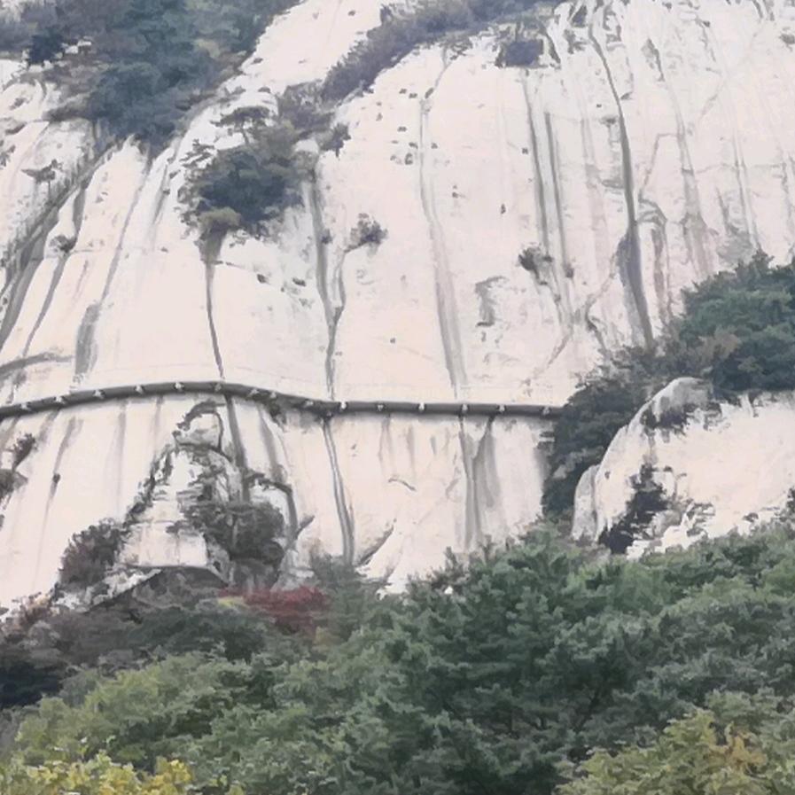 用户《井然有序》