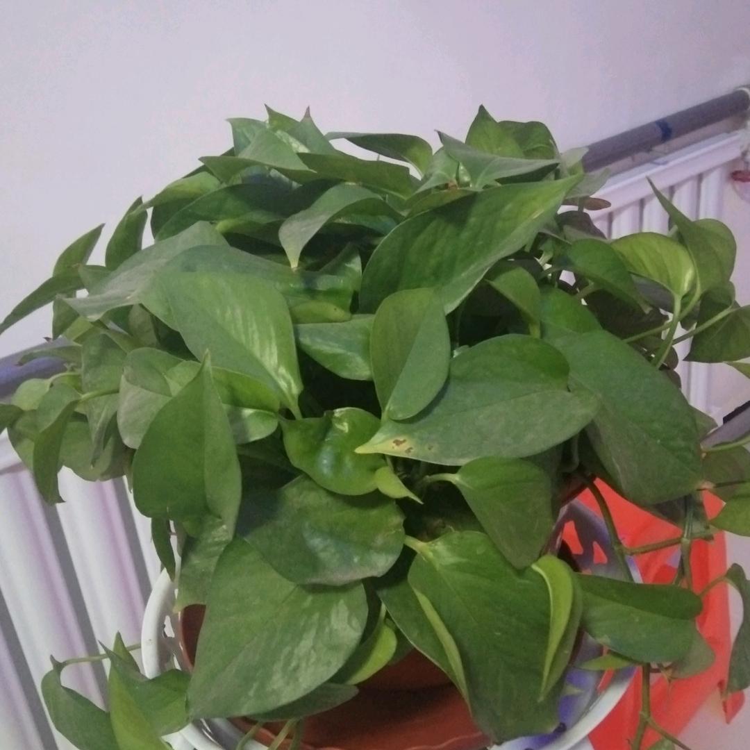 用户5946822949188