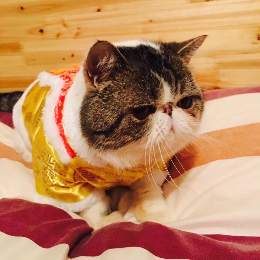 小鬼