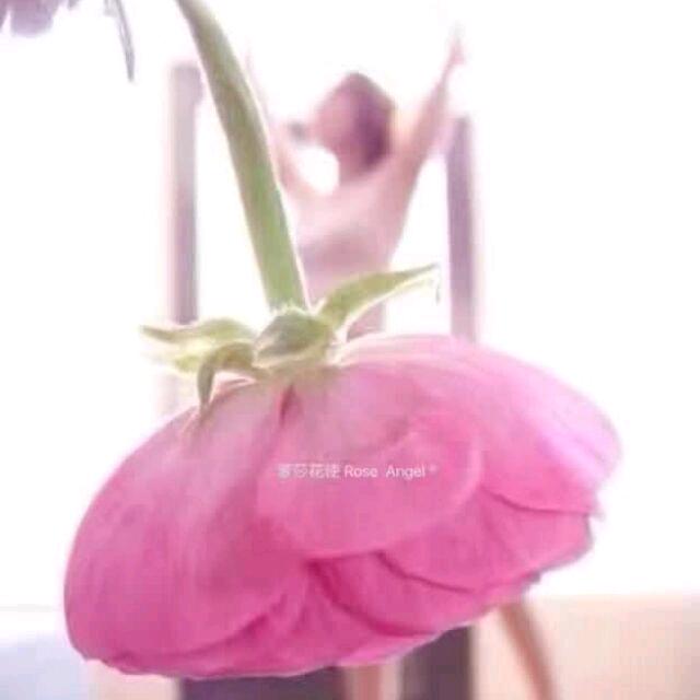 陈沭米