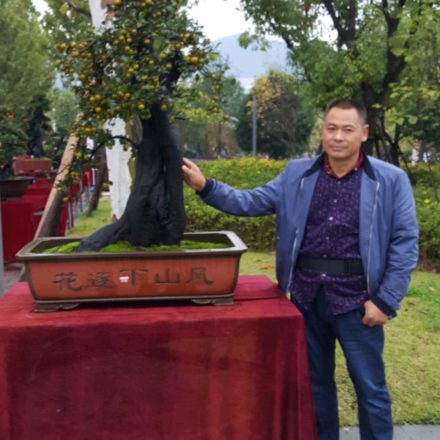 财源广进