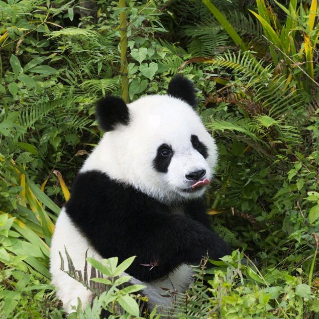 嘿嘿，这个世界变了