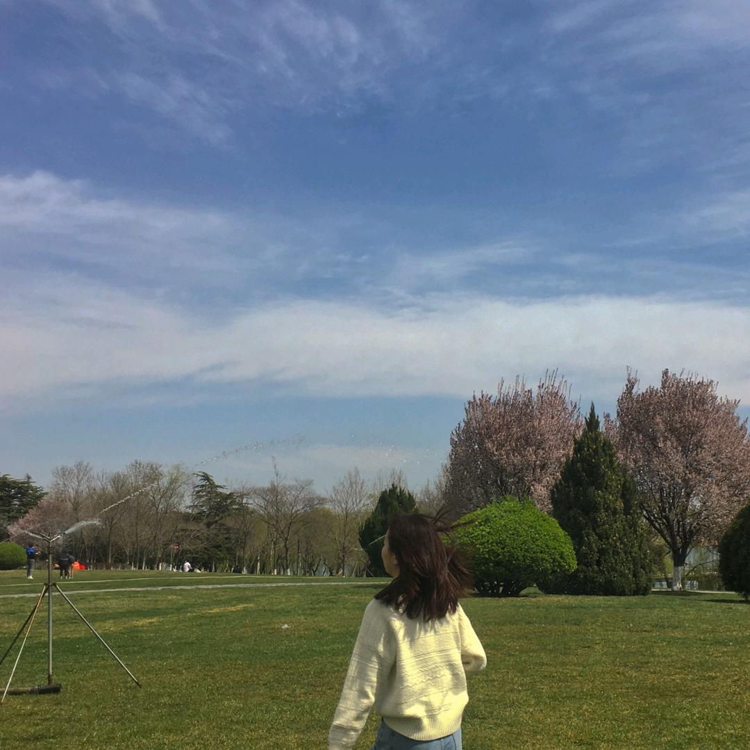 Sunny