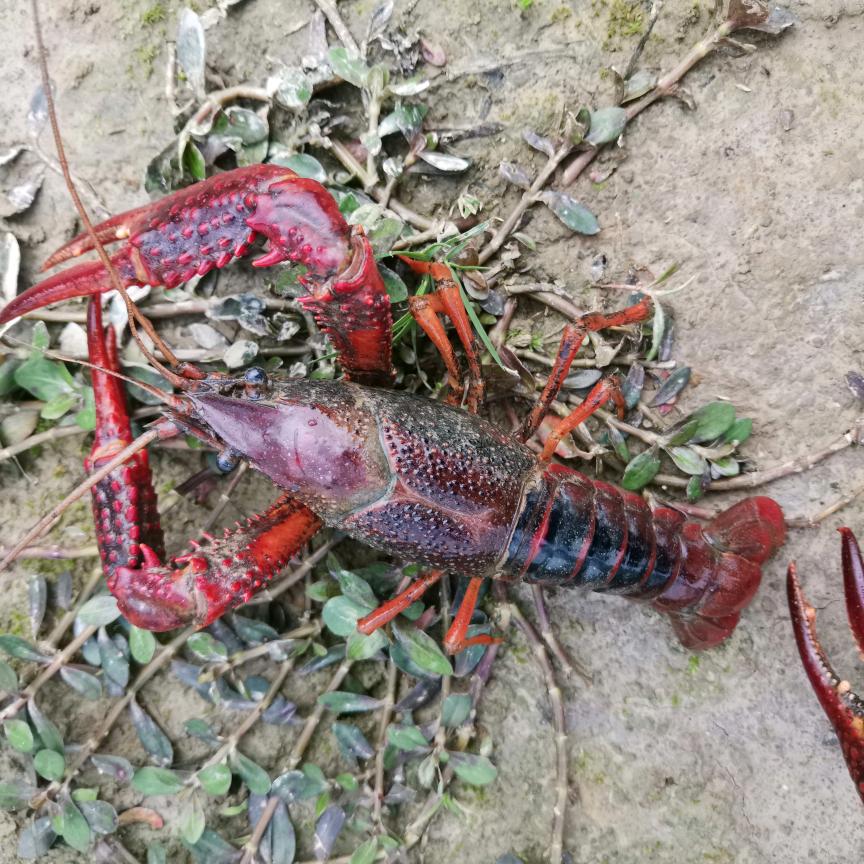 买基金小王发發不是梦