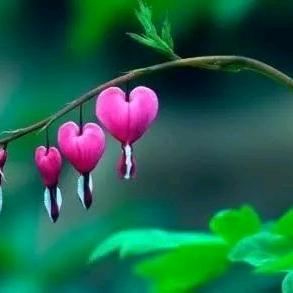 开心就好（66年6月🐴）《拒绝连赞》