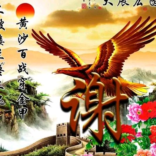 谢崇沈