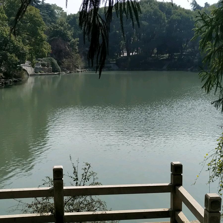 西洋才子